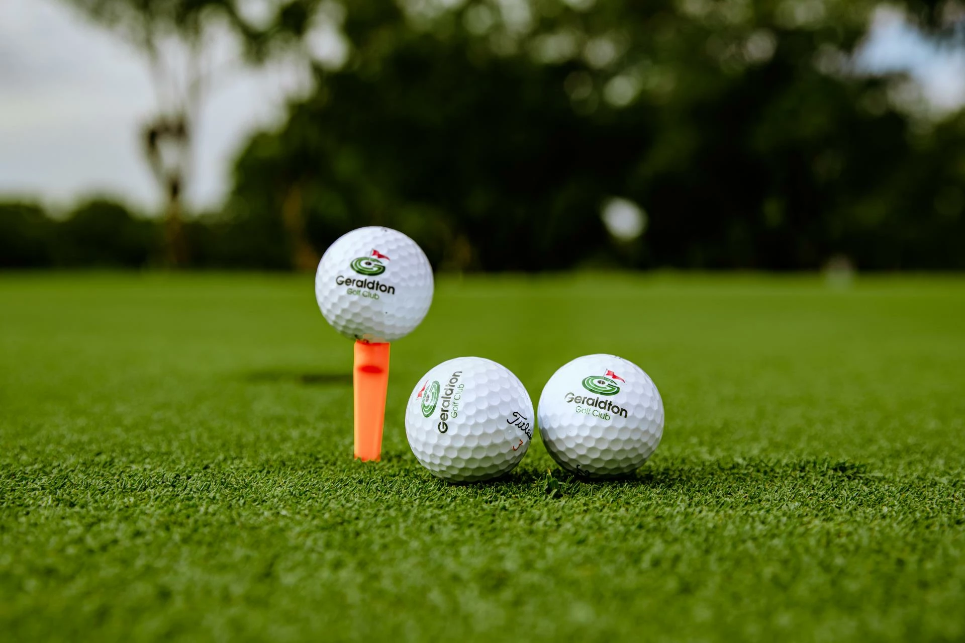 Golf Clubs Shop -Golf Clubs Shop 087