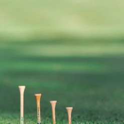 Pride 2 3/4" PTS Pro Length Tees 11 Pride 2 3/4" PTS Pro Length Tees -Golf Clubs Shop 9765862 800 auto