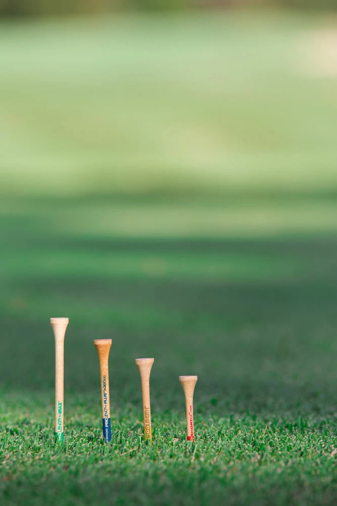 Pride 2 3/4" PTS Pro Length Tees 7 Pride 2 3/4" PTS Pro Length Tees - Image 5